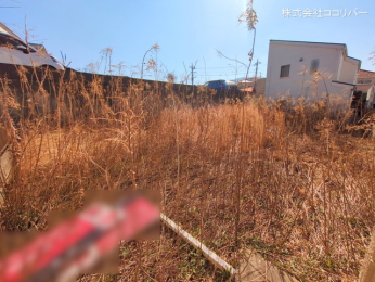 ˎsaq̓yn