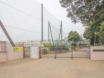 周辺環境 船橋市立御滝中学校800m