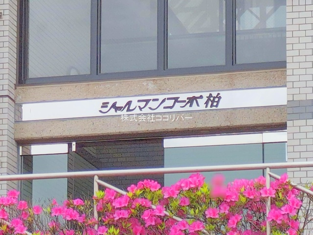nOώʐ^ -