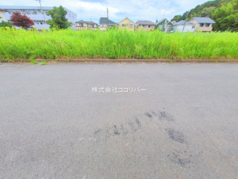 nOώʐ^ -