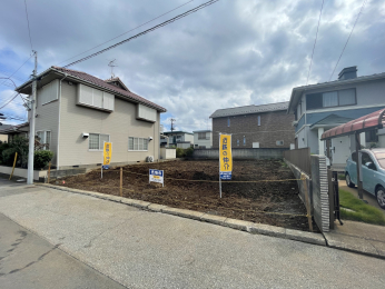 ���s�L�l�G�̐V�z��ˌ���